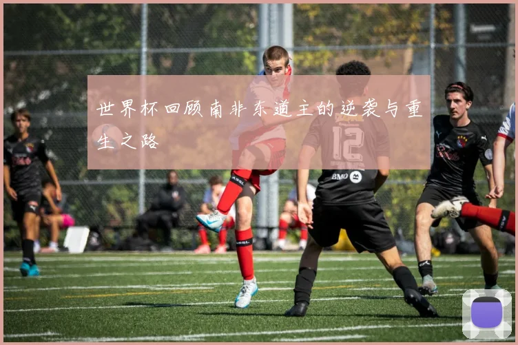 世界杯回顾南非东道主的逆袭与重生之路